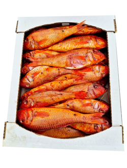 Барабулька крупная х/к