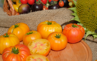 Томат Dwarf Wherokowhai (Гном Фероковкай), 10 шт