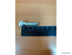 Болт М8*1,25*30 под внутренний шестигранник (цена за 20 шт.)