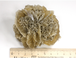 Гипс, "Гипсовая роза", крупный сросток кристаллов, Россия, Ставропольский край (75*71*35 мм, 167 г) №29343