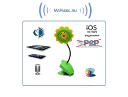 MACRO SEE, Бюджетная WiFi видеоняня с DVR (baby) Ромашка, VGA (iCamSee - IOS)