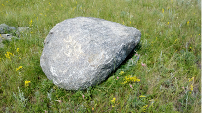 Валун габро