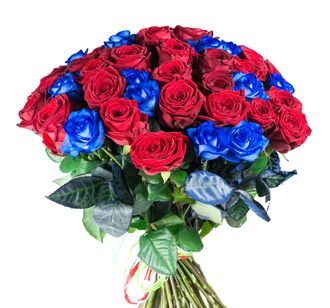 красные и синие розы 51 шт