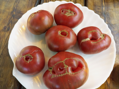 Томат Кофе с молоком