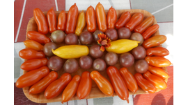 Фляшентоматен, Блек черри, банановые ноги