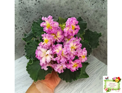 РМ-Богиня Солнца (Н. Скорнякова) 2019 г.