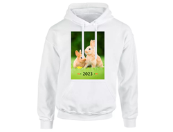 Толстовка год Кролика №15