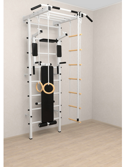 Шведская стенка Sv Pro Рукоход БСД б