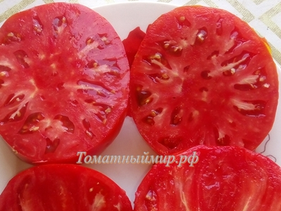 Томат Ник Харп Особенный (Nick Harp's Special, Германия)