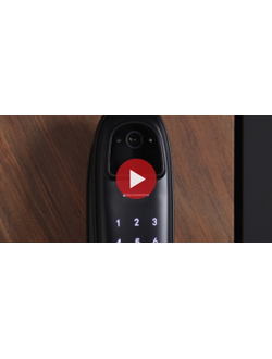 Стальная дверь   Plata (биометрический замок  Smart lock DZ 888)