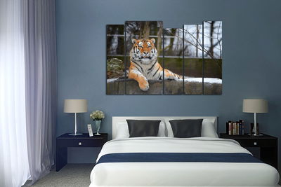 Модульная картина "Спокойный тигр"