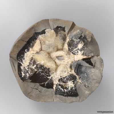 Септария кальцит бежевый молочный