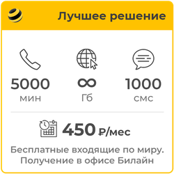Билайн Лучшее Решение 450