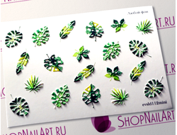 3D Слайдер-дизайн - 112 - Тропические листья