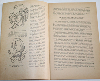 Дубнов М. Что должна знать женщина о родах. М.: Медгиз.  1960г.