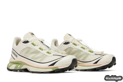 Salomon XТ-6 FT Peach Beige Мужские (40-45)