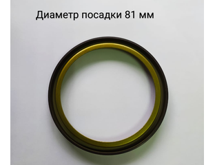 Кольцо магнитное АБС тормозного барабана D=81 мм Nissan Almera G15 Lada ...