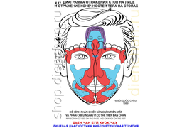 ОПОРНО-ДВИГАТЕЛЬНЫЙ АППАРАТ