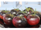 Grand black tomato (Большой черный томат)