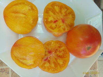 Томат Русский вихрь (Dwarf Russian Swirl) США