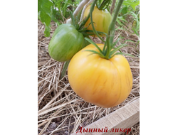 Томат Дынный ликер