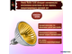 Muller Licht HLRG-520FG/Gold BAB/C 20w 12v 36° GU5.3