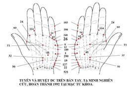 ТОПОГРАФИЯ БИОЛОГИЧЕСКИ АКТИВНЫХ ТОЧЕК НА ЛАДОНЯХ