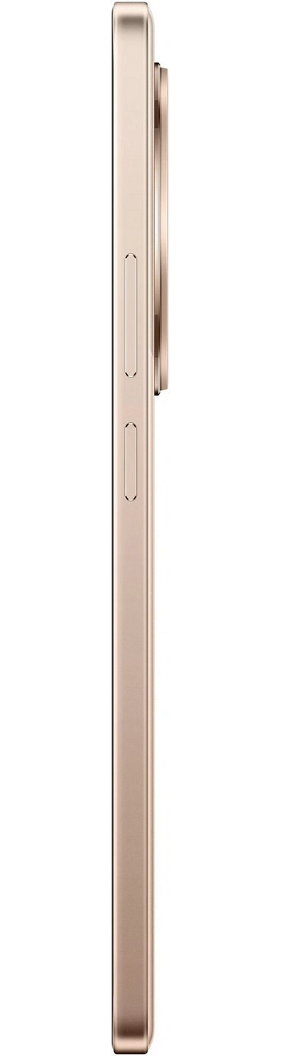 Realme 13 Plus 5G 8/256GB (RMX5000) Золотой