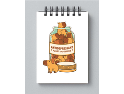 Блокнот Капибара, Kapibara-san №26