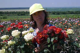 О нашем розарии