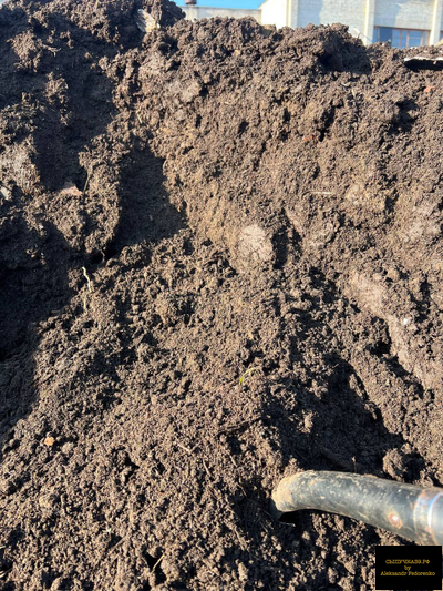 Коровий навоз и перегной