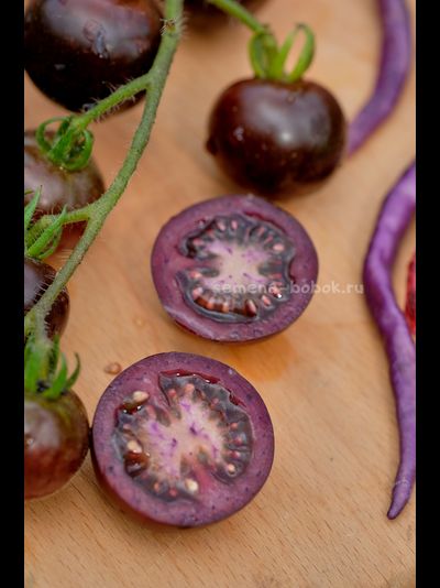 Томат Empress Purple Tomato (Черничный Щербет), 8 шт