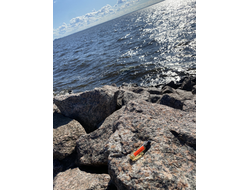 Духи НОТА: ДИКОЕ ПЛЕМЯ 5,5 мл