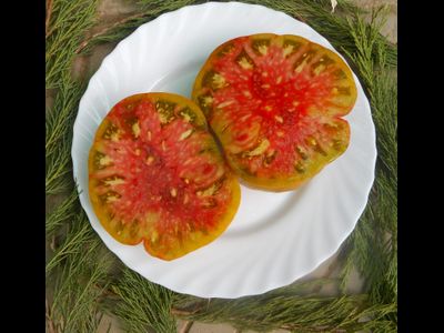 Томат Черный ананас, (Ananas Noire) США