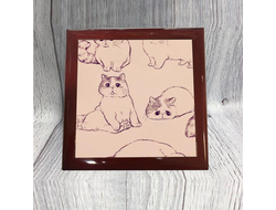 Шкатулка Котики №8