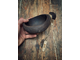 Bowl &quot;2&quot; (Free worldwide shipping)