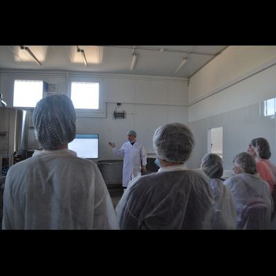 Сказочные парки Козельска и сыроварня "Калужское сыроморье"