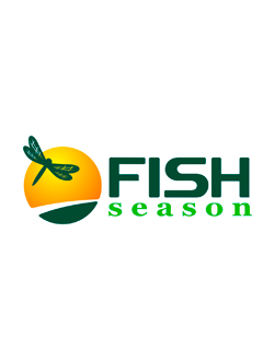 Спиннинги Сезон рыбалки