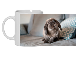 Кружка год Кролика №15