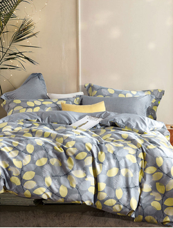 Постельное белье TANGO комплект сатин евро 200x220x1 230x250x1 50x70x2 70x70x2 TS04-X206