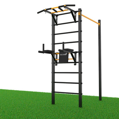 Уличный турник + шведская стенка с турником-брусьями и скамьей Record R4W-1 профиль 60х60х2 мм
