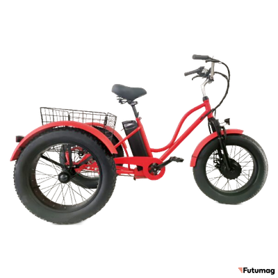 Электротрицикл Elbike TRITON VIP