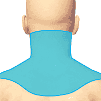 Тройничная зона (6 точек). ДЭНАС аппараты при лечение отита