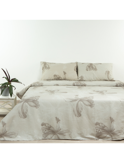 КПБ ЕВРО "Блеск", арт. 41262/0