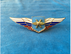 Должностной знак командира полка и ему равной воинской части ВКС