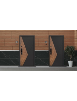Стальная дверь   Plata (биометрический замок Smart lock Y23)