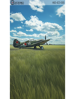 Фотофон виниловый «Винтовой на поле»