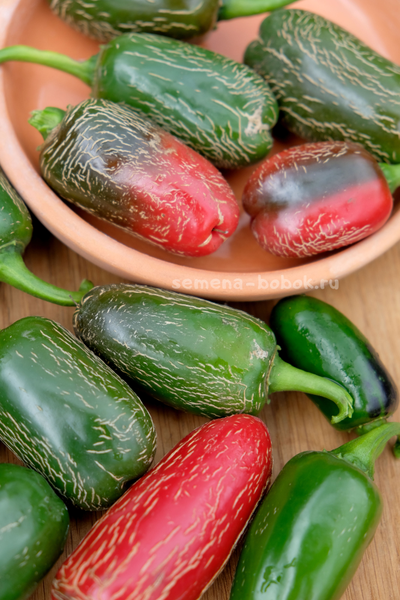 Перец острый Jalapeno Chichimeca, 10 шт