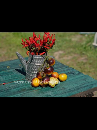 Томат Stripes of Yore (Страйпс оф Йор), 10 шт