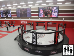 Арена для ММА с круглой боевой зоной диаметр 8 м. на круглом подиуме диаметр 10 м. высота 1 м.